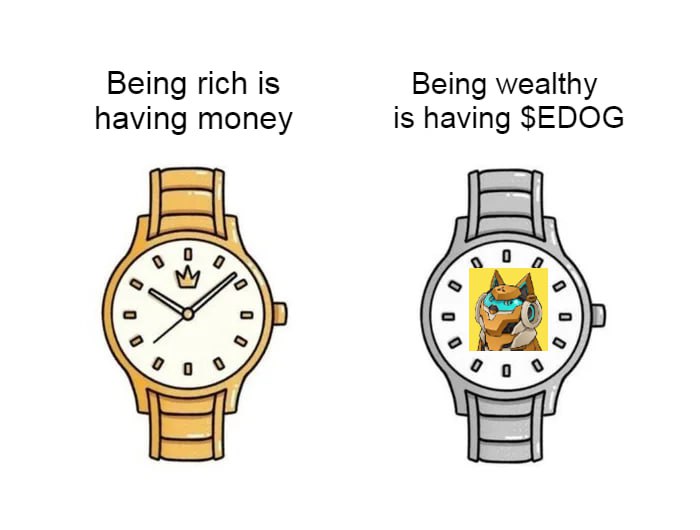 macn cat tweet media