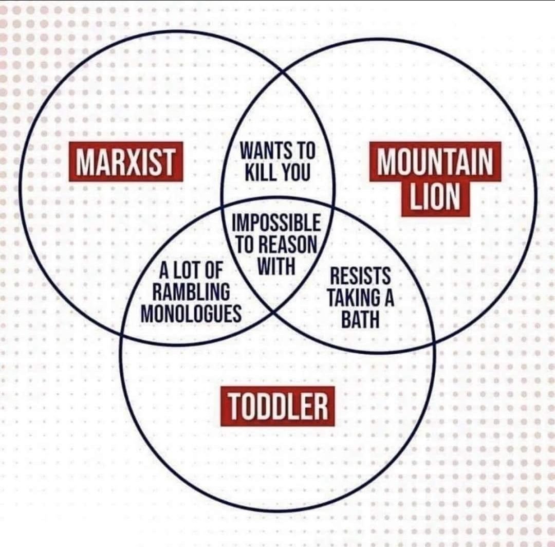 moops (@the_moops) on Twitter photo 