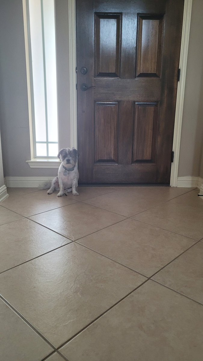 Benji is the last one to get picked up today 🥹