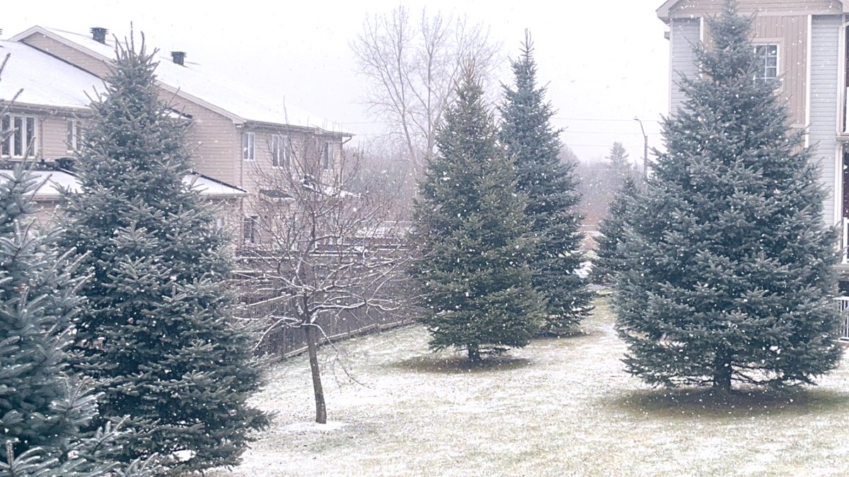 Ranosh80's tweet photo. عم بتشتي الدنيا #ثلج 🥶 ❄️☃️ https://t.co/qRB40BxTDK
