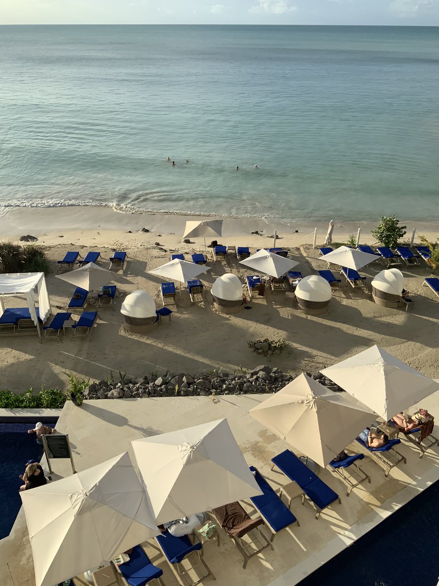 Dr.  Bridgeman tweet media