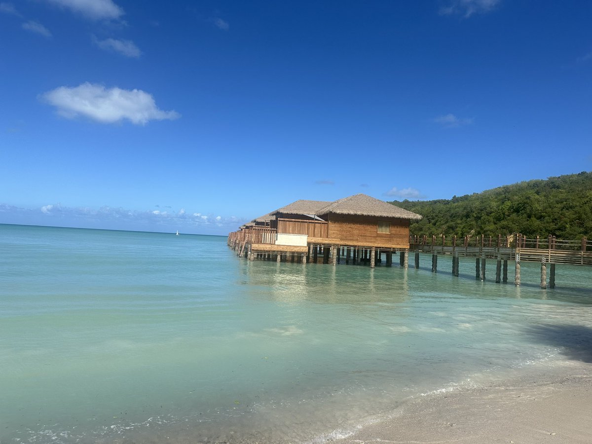 Dr.  Bridgeman tweet media