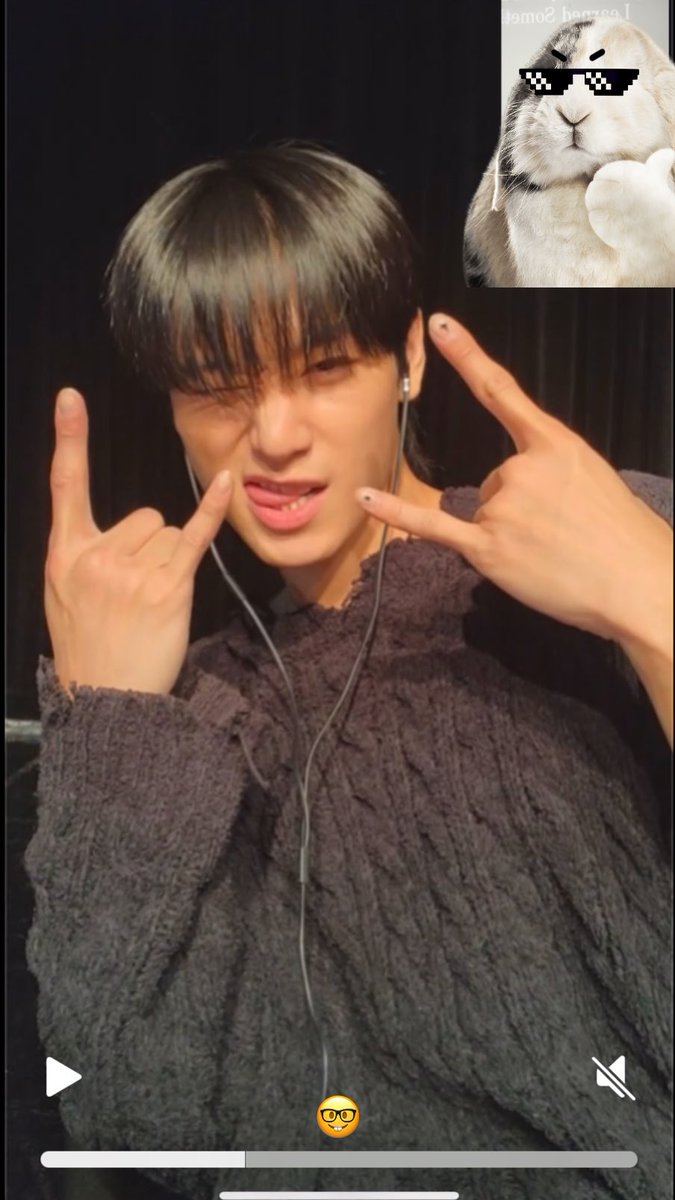 dailyljy's tweet photo. the coolest cat 🤪 https://t.co/m83WdTYoLS