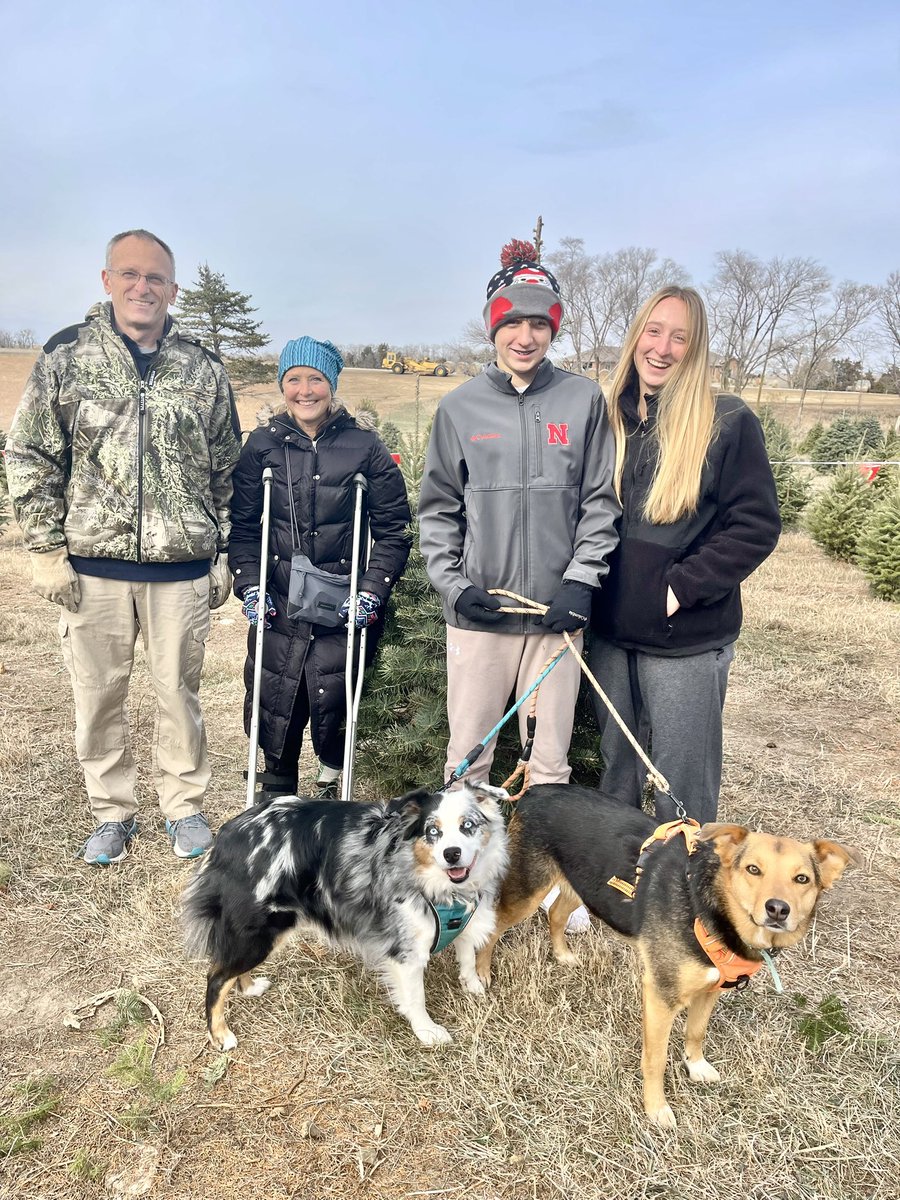 Found a lil’ Christmas tree!