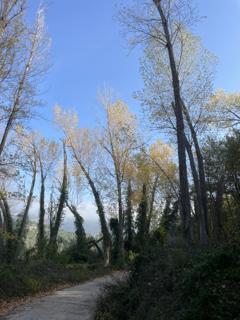 Sábado de trabajo 👩🏼‍💻 
Domingo de desconexión 🏞️