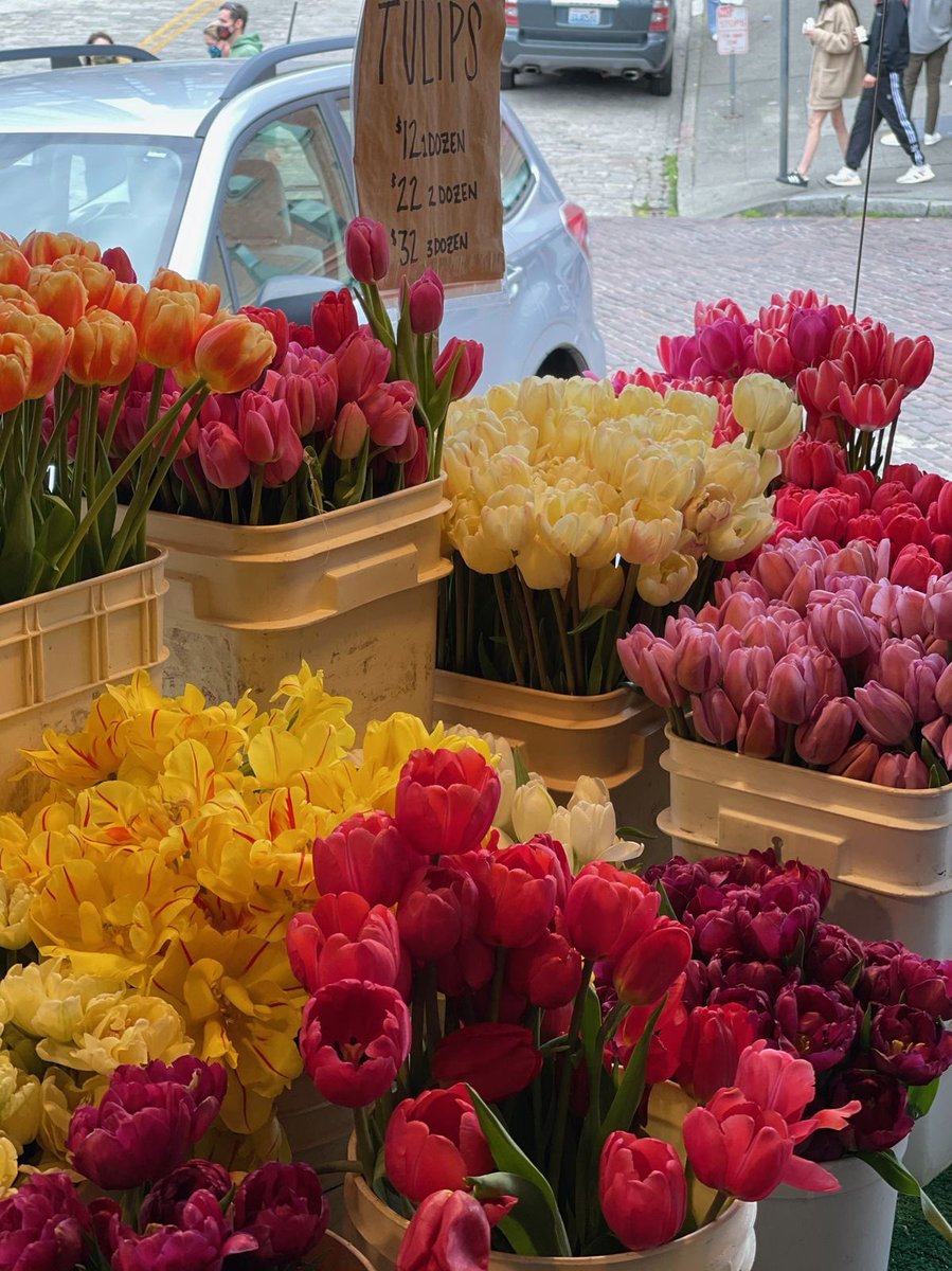 i3Moment's tweet photo. Tulips 🌷 https://t.co/4yUAxAyyGb