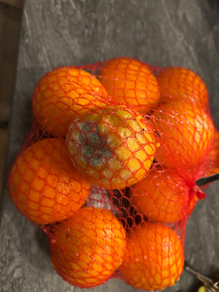 Prof Ruth Patrick tweet media