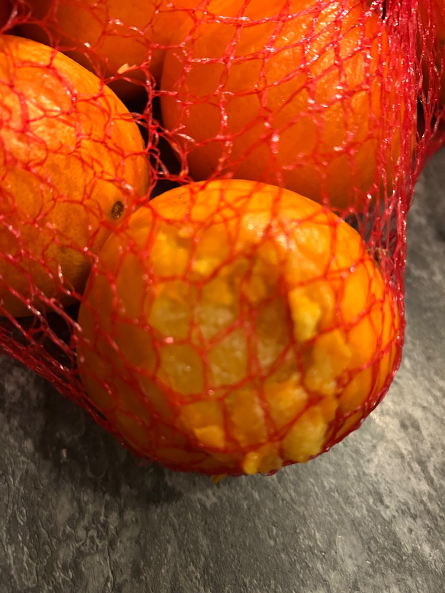 Prof Ruth Patrick tweet media