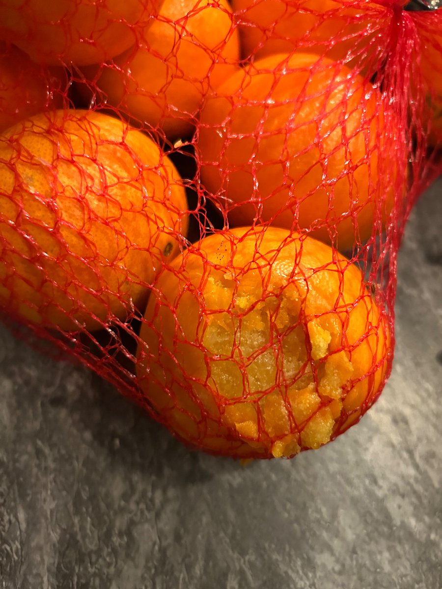 Prof Ruth Patrick tweet media