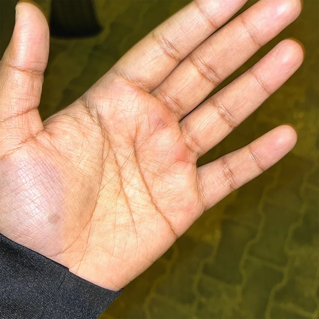 nidaa_111's tweet photo. November treated me awesome 🥰🥰 
الحمدلله كم بالفضل اكرمني وفوق آلذي أرجوه أعطاني ❤️
الحمدلله الحمدلله الحمدلله ❤️❤️ https://t.co/Gfwr0Sfu8l