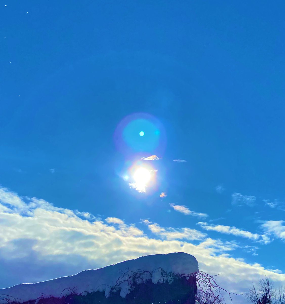 DaniInGeneral's tweet image. Basking in the much needed sun before the next storm comes in ☀️❄️