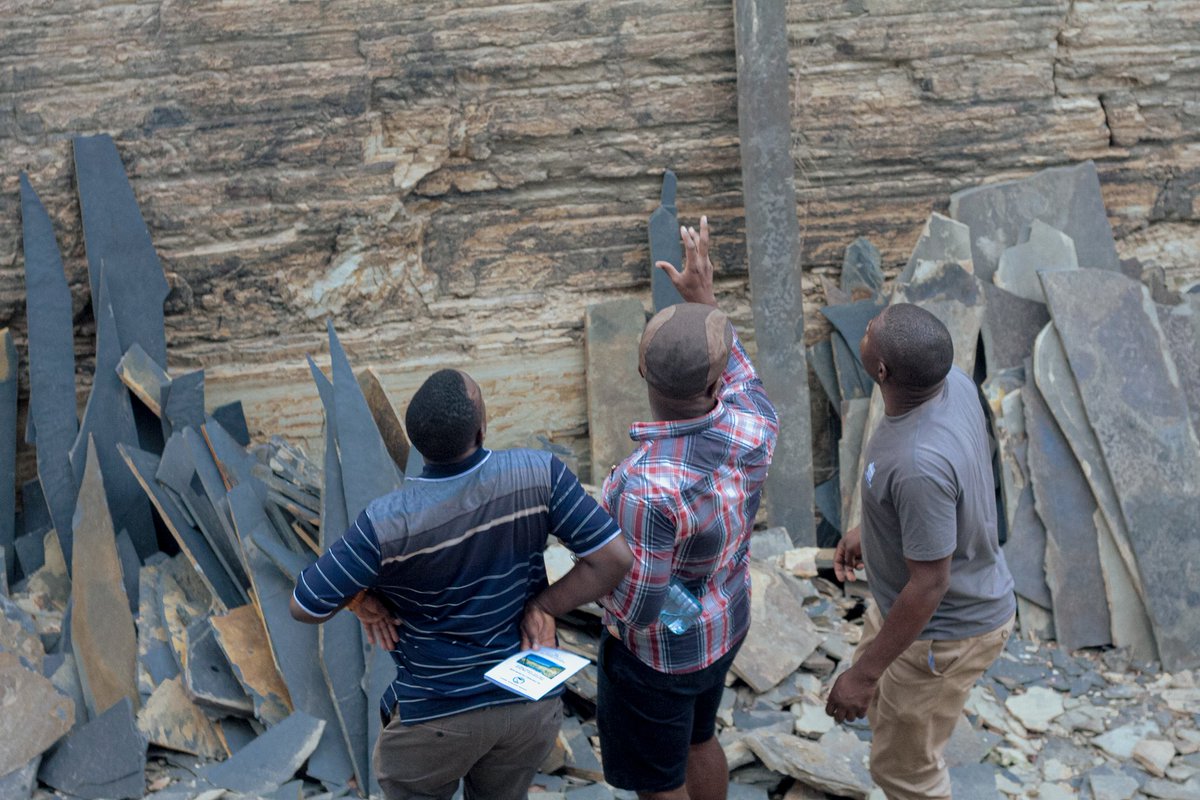 Tanzania Geological Society tweet media