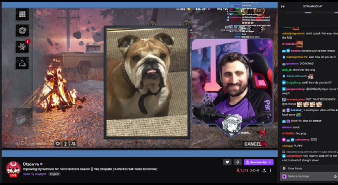 Coach Kaz tweet media