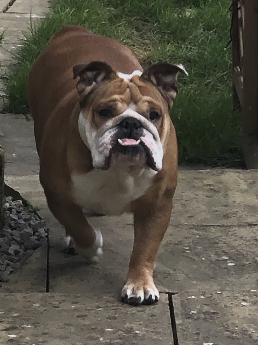 Coach Kaz tweet media