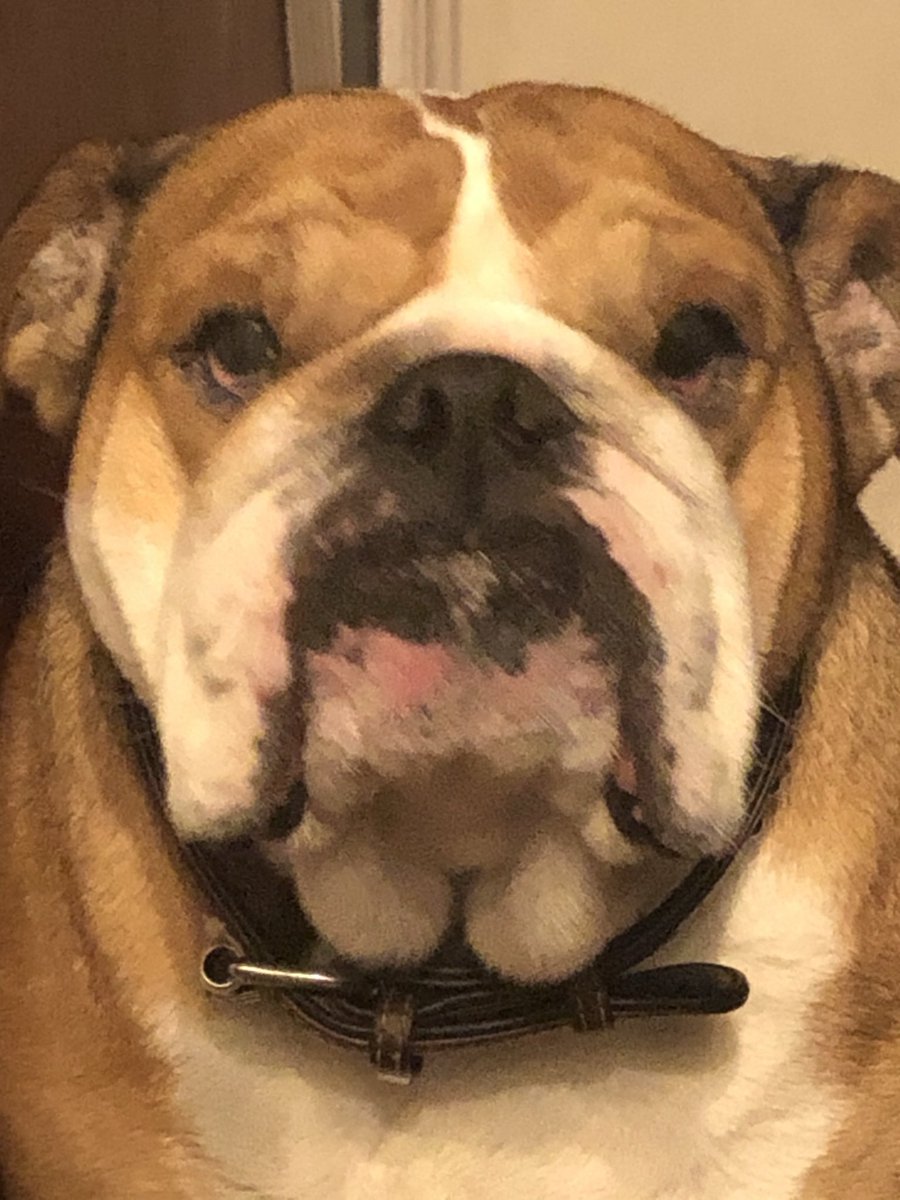 Coach Kaz tweet media