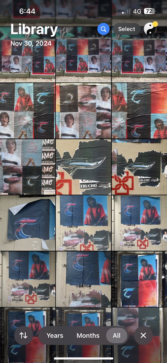 Los Caballos tweet media