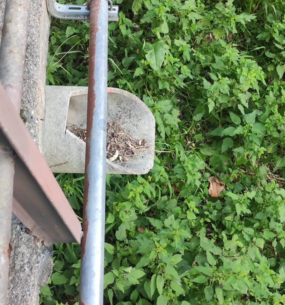 Sagarrak Ekologista Taldea tweet media