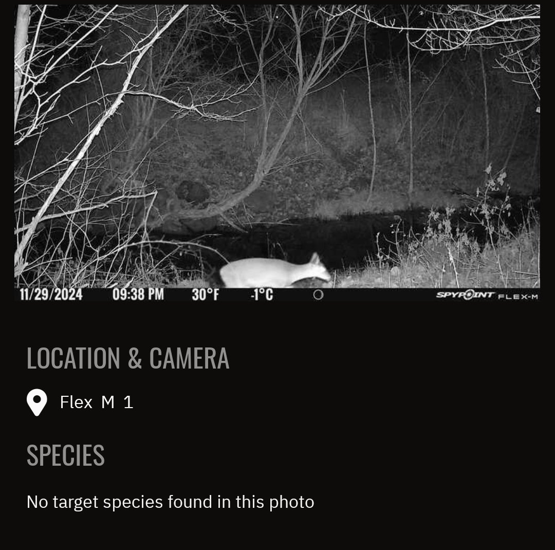 R82Xplor's tweet photo. Spypoint Flex M Cams are up and running here on the ranch. https://t.co/50jPWIep0I