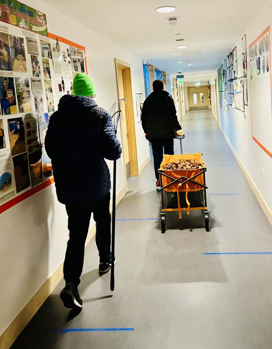 FrankHannigan5's tweet image. Fridays @Kilpatrickscho1 are about #DYW Taking  advantage of our leaf composters to get our raised beds ready for winter 🥶❄️ #Gardening #SkillsforWork #SkillsforLife #nurturingpotentialtogether
