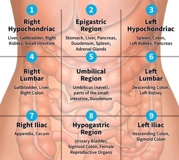 TRAORE LASSINE Doctor(طبيب الحسن) (@doctortraore) on Twitter photo 