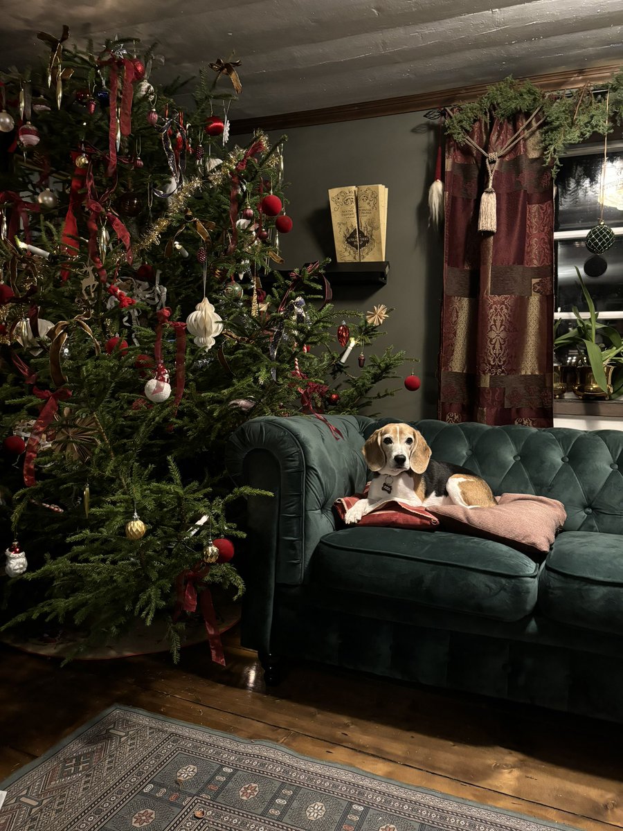 Guess who found a loophole for the “no dog hair on the new couch” rules?