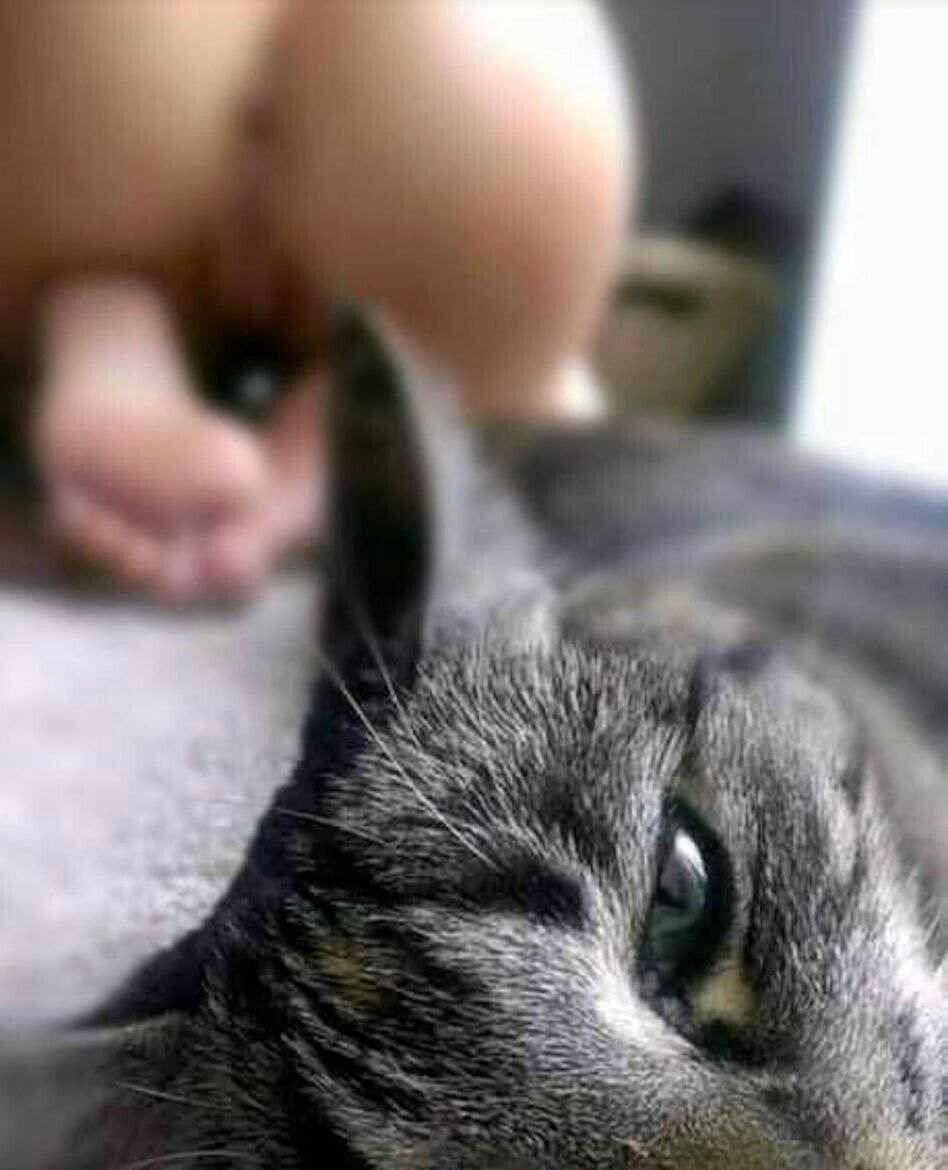 milluminodimene's tweet image. 😽