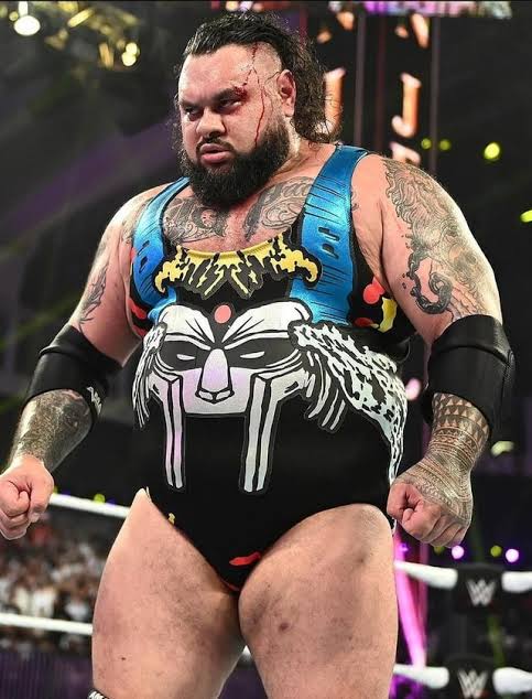 Slappa_WWE's tweet image. - Andre the Giant Battle Royal Winner 

- Defeated three former World Champions in Seth, Sheamus &amp;amp; Miz

- BANGER of a feud with Braun 

- Main Evented Survivor Series against Roman &amp;amp; Punk 

2025 Bronson Reed should hold Gold, this year has been incredible for him