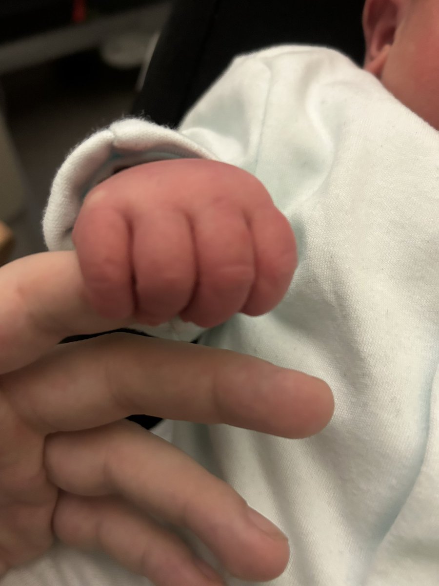 WildJoey tweet media