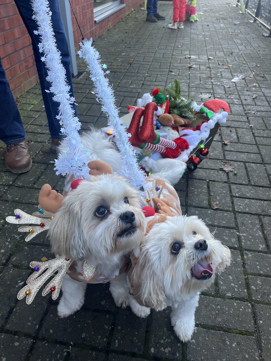Donna Alos (@donnaalosradio) on Twitter photo Literally the most fun afternoon at the Xmas dog parade <a href="/thevalley_eve/">The Valley</a> 🐶🐾🎄it was brilliant! 200 dogs and their humans, amazing! 🎄 Literally the most fun afternoon at the Xmas dog parade <a href="/thevalley_eve/">The Valley</a> 🐶🐾🎄it was brilliant! 200 dogs and their humans, amazing! 🎄