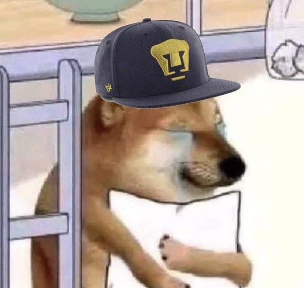 Pedro Velázquez Mtz tweet media