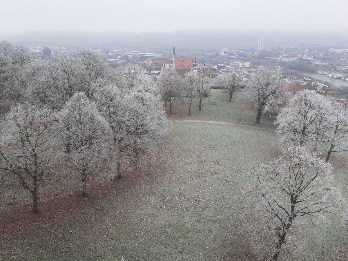 Just have to post this from our walk this morning in Wurzburg.  Nice and crispy.  #TreeClub #RiverCruise #ManyChristmasMarkets 😀