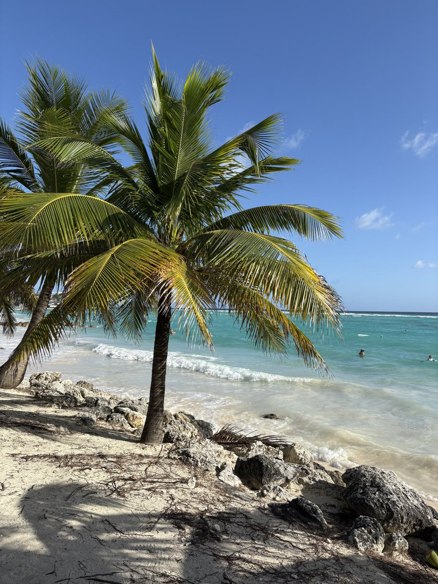 Ω̴̩̩̩̥mozzer tweet media