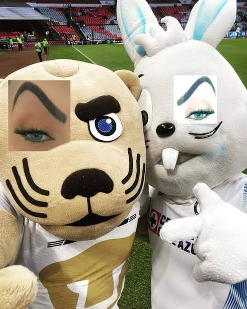 Separados por la rivalidad 

Unidos por el odio al Gato Ortiz