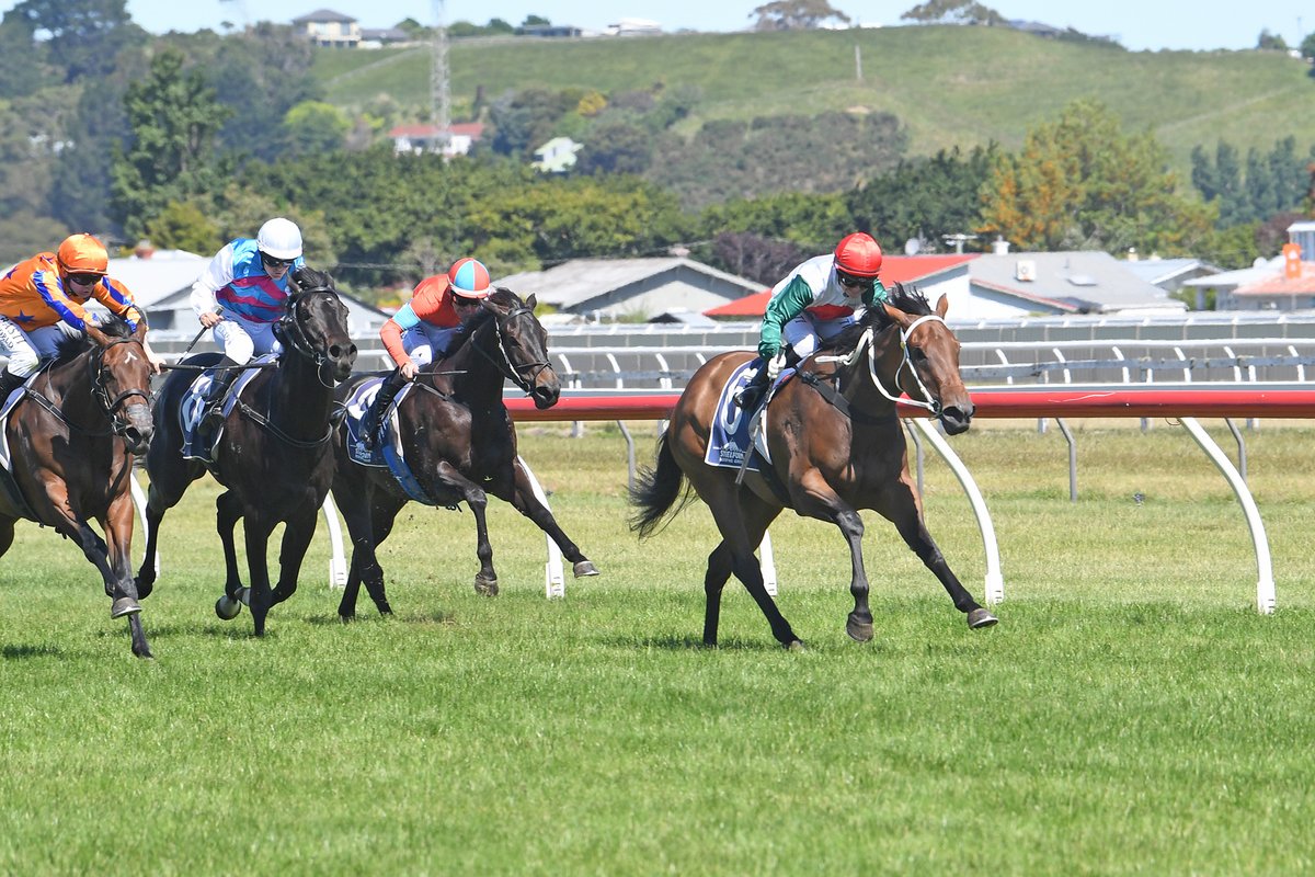 KarakaChat's tweet photo. A brilliant front-running win in Saturday’s $80,000 Listed O’Learys Fillies’ Stakes (1340m) at Wanganui was a coming-of-age performance by #Hitabell (NZ) (Embellish), who was bought for only $9,500 from NZB’s 2023 National Online Yearling Sale on Gavelhouse Plus.🎉
The Stephen Marsh-trained filly has now had four starts for two wins, turning that $9,500 outlay into more than $61,000 in prize-money for her connections.👏
“She won very well on debut, then had those couple of runs at Ellerslie and was probably unlucky not to win one of them, and now she’s come out and led all the way in a black-type race.
“We’ll get her home now and work out what we do next. We could have a look at a race like the Eight Carat (Group Two, 1600m) at Ellerslie on Boxing Day.”
Hitabell became the third individual stakes winner for young Cambridge Stud stallion #Embellish (NZ), who is also the sire of the Group Three winners #Luberon (NZ) and #BoldSoul (NZ). Embellish will feature at Karaka 2025 with 12 yearlings in Book 2.
📸:Race Images NZ
Read more 📰: https://t.co/KTRQuaJ8z6