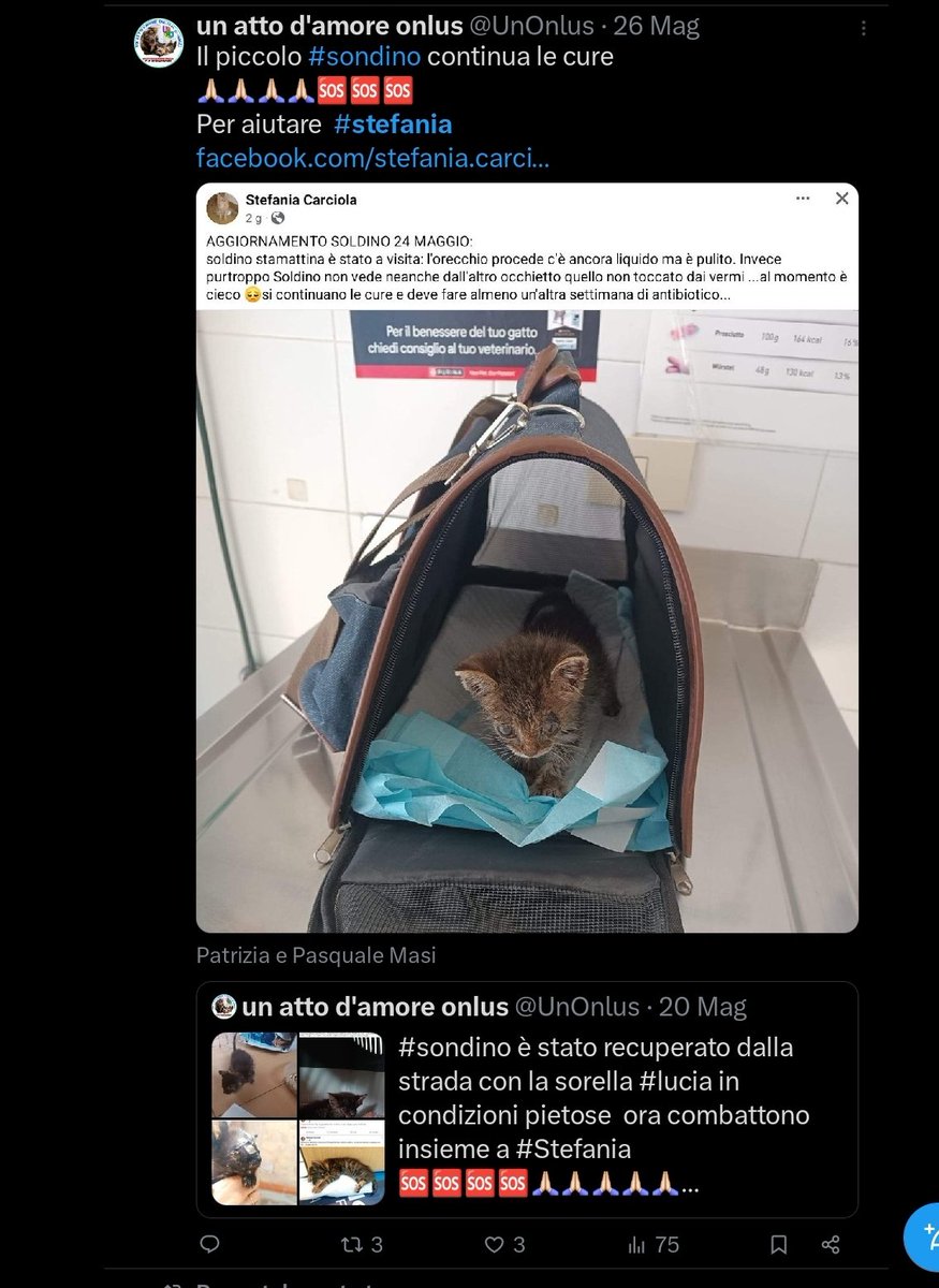 unonlus's tweet photo. #Soldino sta meglio è tornato in colonia e #Stefania lo ha fatto sterilizzare
#aiutaunrandagio 
Per aiutarla con le pappe 🙏🏻🙏🏻🙏🏻🙏🏻
https://t.co/ViruUk4aX8 https://t.co/79Hs89qyjz