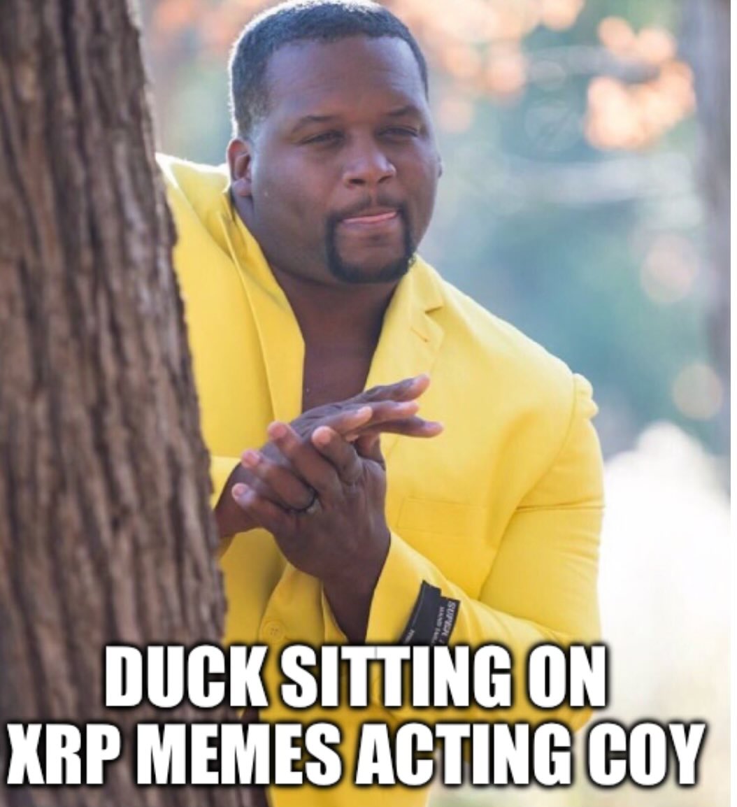 diz tweet media