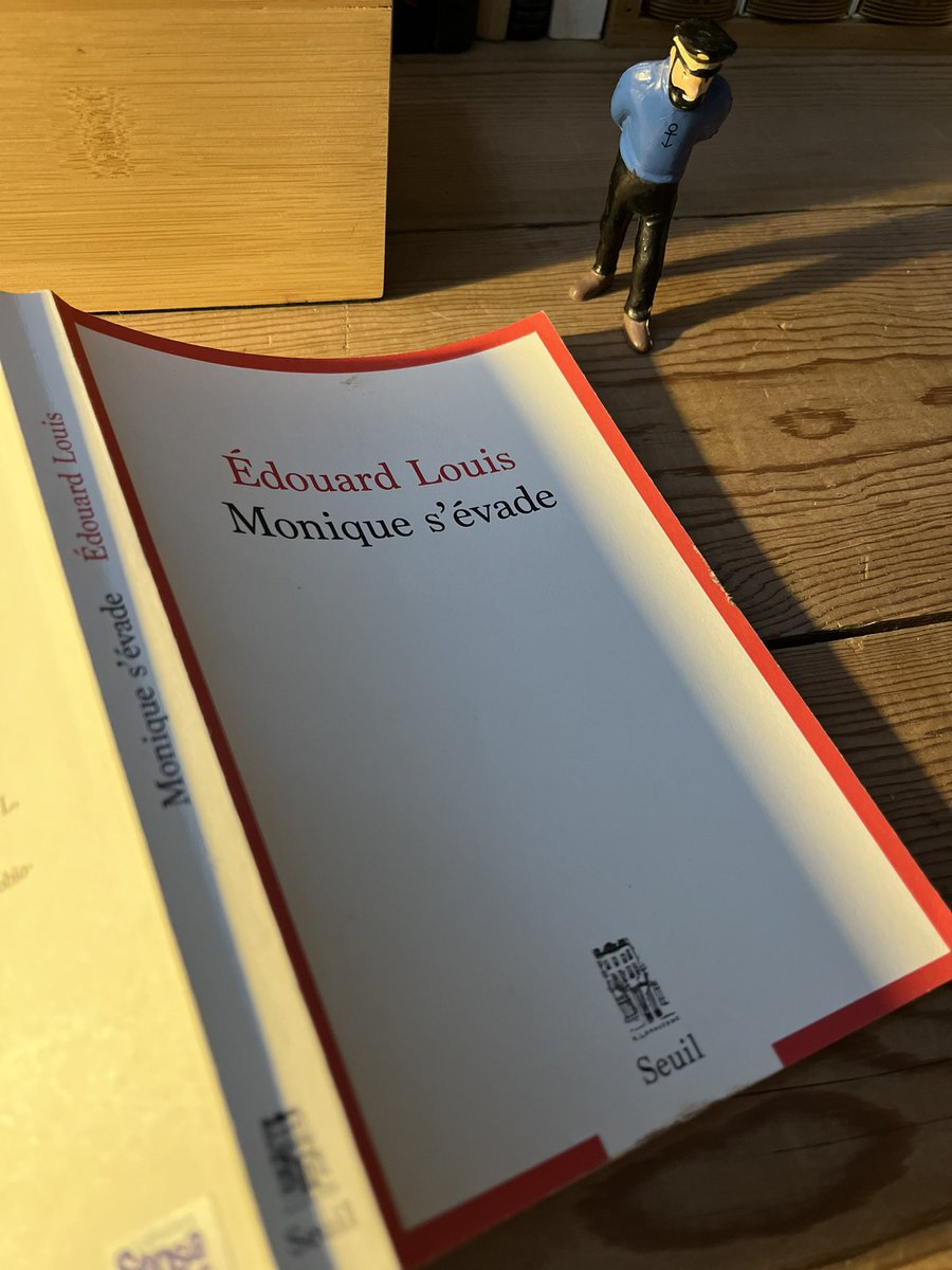 Combien coûte la liberté ?  
( cher, on s’en doutait ). Édouard Louis pose ici très directement la question de la liberté d’une femme et en évalue le coût. « L’évasion » de #Monique n’est pas seulement celle de la mère de l’auteur, c’est peut- être aussi celle en germe de notre
