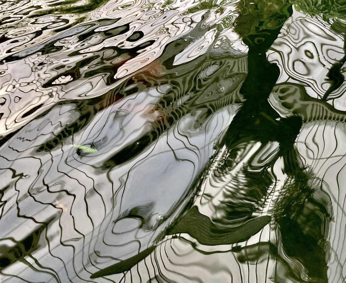 Walk to Work Glasgow tweet media