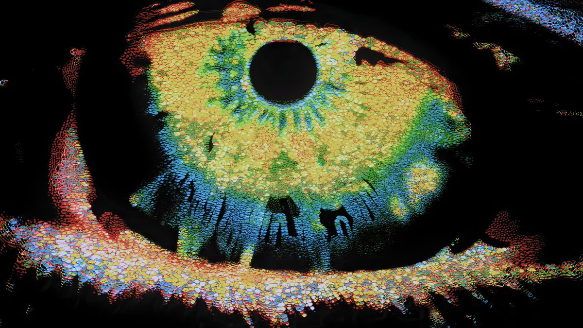 A.M. Architect tweet media