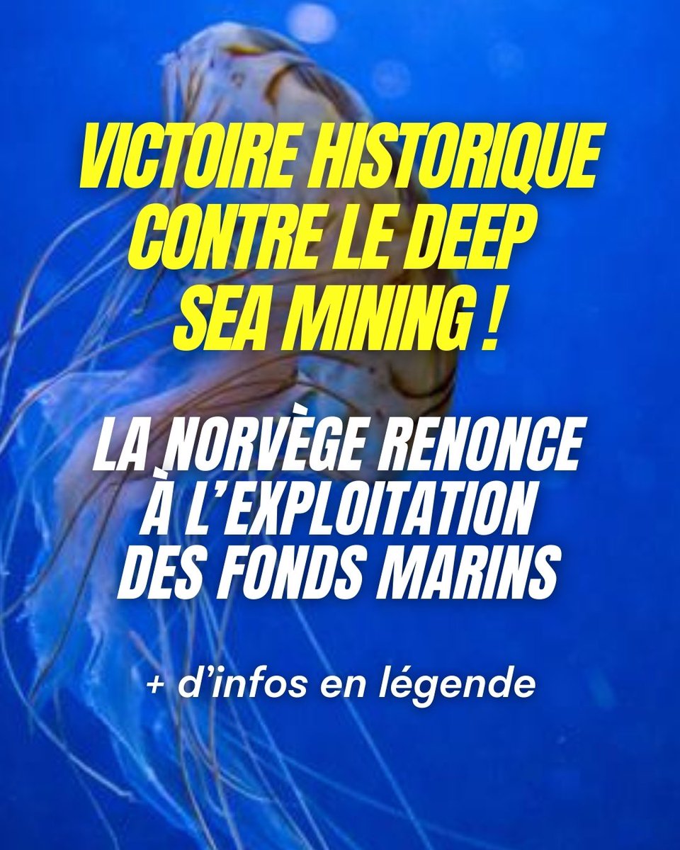 🚨 DERNIÈRE MINUTE 🚨

La Norvège renonce à l’exploitation des fonds marins ! 💥

Ce dimanche, le parti politique norvégien SV (socialiste), qui soutient le gouvernement minoritaire de centre-gauche, a annoncé que la Norvège renonce à ses projets d’exploitation minière des grands