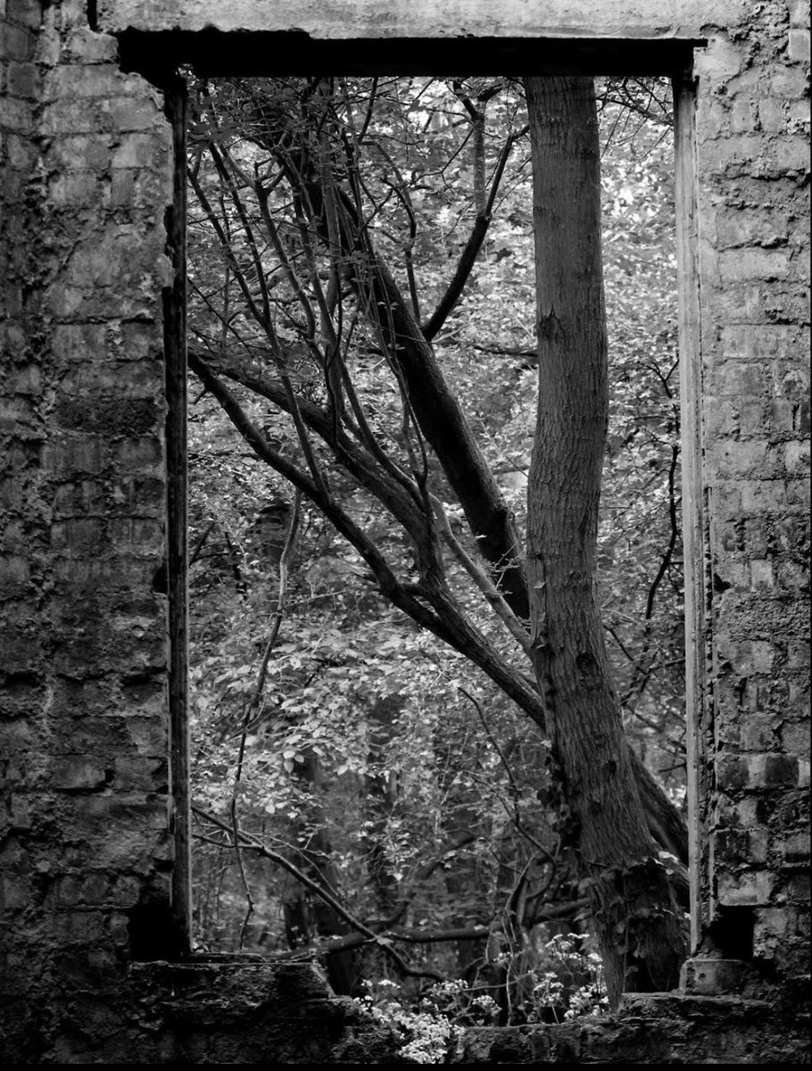 KWPhotos24's tweet photo. #photography #bnw #blackandwhite #bnwphotography #blackandwhitephotography https://t.co/va5iVKyZnF