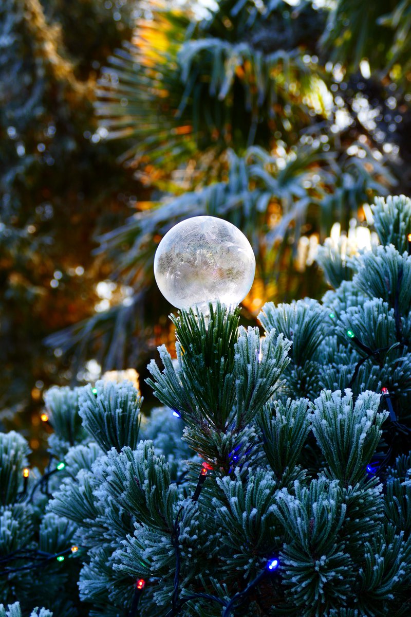 James_Akrill's tweet photo. 1st of December so something quite seasonal from back in 2022 that I've discovered I haven't sorted through until now. 😊
@StormHour #FrozenBubble #FrozenBubbles #FrozenBubblePhotography #IceBubbles #Christmas https://t.co/aKrPXfdWw7