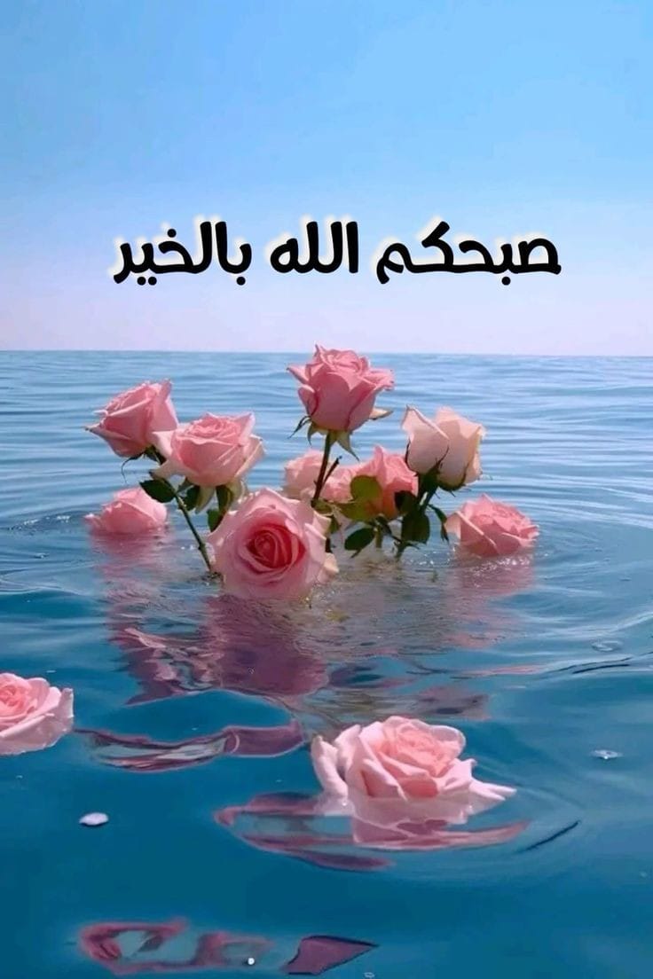 رجاءآ رجاءآ رجاءآ ٫٫ اتمنى من الإخوان الي يسمون سناكل لحد يبعث متابعه ولحد يدخل خاص أقسام عليكم بالله