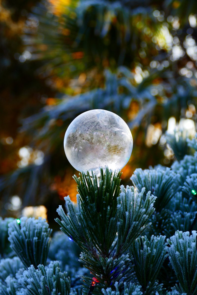 James_Akrill's tweet photo. 1st of December so something quite seasonal from back in 2022 that I've discovered I haven't sorted through until now. 😊
@StormHour #FrozenBubble #FrozenBubbles #FrozenBubblePhotography #IceBubbles #Christmas https://t.co/aKrPXfdWw7
