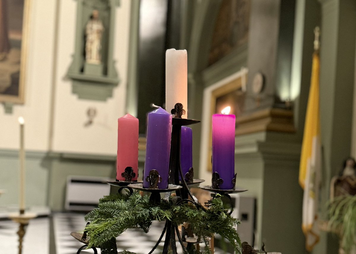 Eva Grosman tweet media