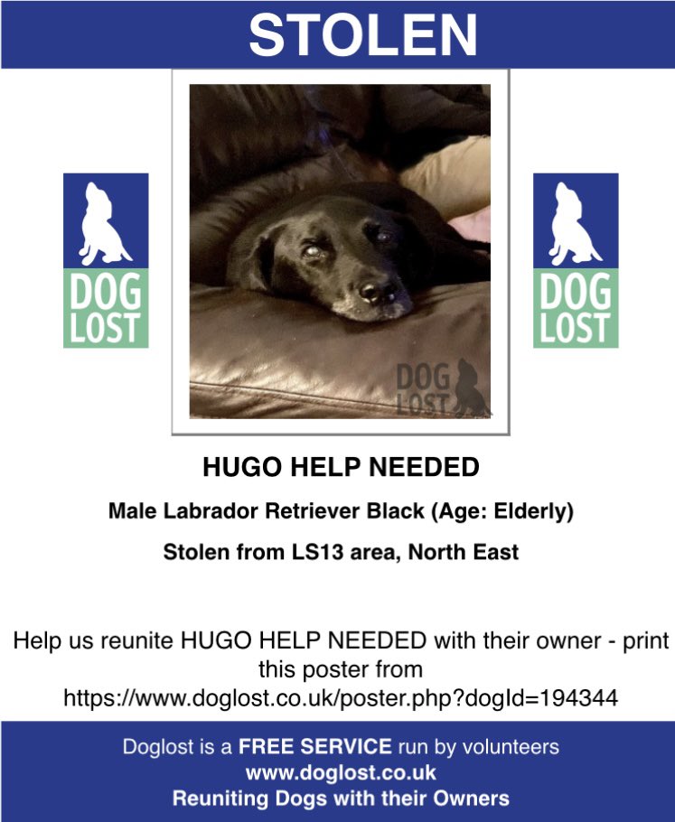 rosiedoc666's tweet photo. #StolenDogHour
HUGO is an elderly boy
Upgraded to #STOLEN how could anyone do this to an old boy
Black / CHIPPED & NEUTERED
Near home near #BramleyBaths #Bramley #LEEDS #LS13
11/9/24 WHO KNOWS WHERE HUGO COULD BE?
https://t.co/QlUvSBNN7Q
@BramleyCCentre @RachaelB100 https://t.co/zl8Un1KBWG