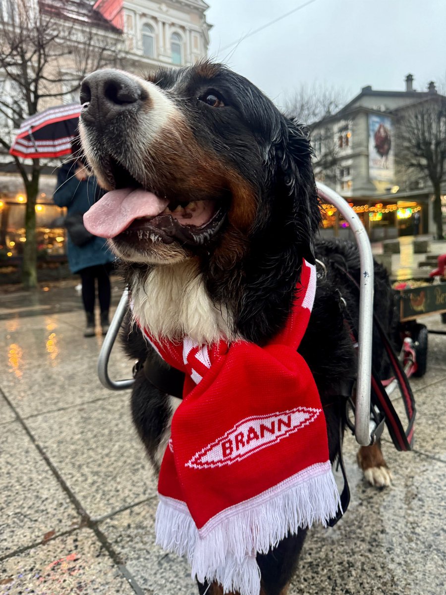 Danny Last tweet media