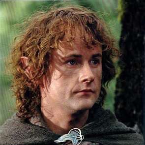 wen würdet ihr eher?

merry oder pippin