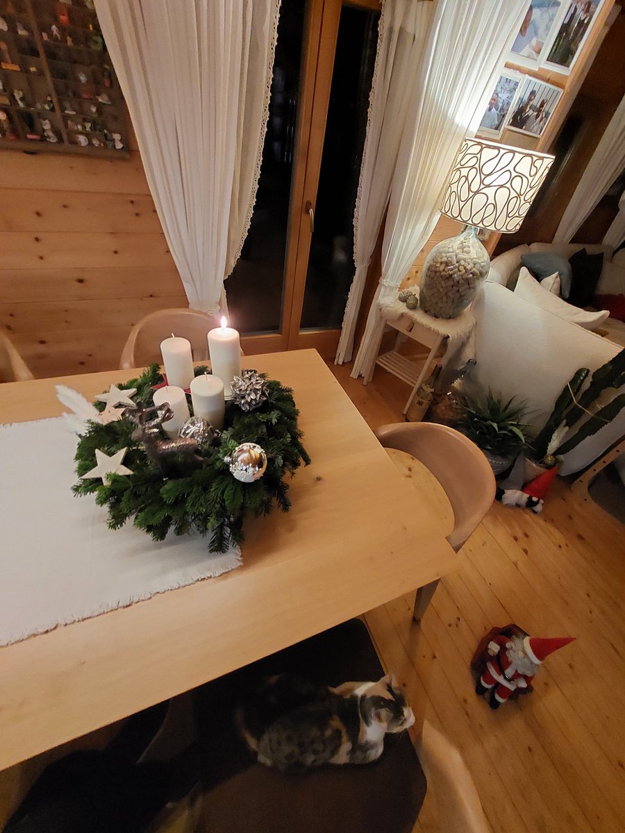 CSchmidl's tweet image. #katze hält vom schnarchenden 
#weihnachtsmann nix🤣
#ErsterAdvent