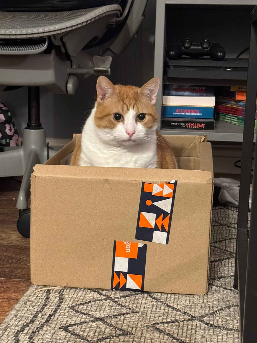 The_D3gausser's tweet photo. The chances of receiving Catsu in a box are slim - but never 0.

Gonna go check out another Security Booth ending then peep the new nut season.

Bangers and Cronch live on Twitch now!

🎮  #SecurityBooth #Fortnite #Valorant 
🔴  https://t.co/Df48rXfZ35 https://t.co/RYehIO40Zl